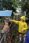 013 - Waitomo - Big Bird Farm