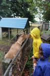 014 - Waitomo - Big Bird Farm