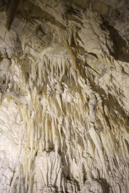 059 - Waitomo - Waitomo Caves