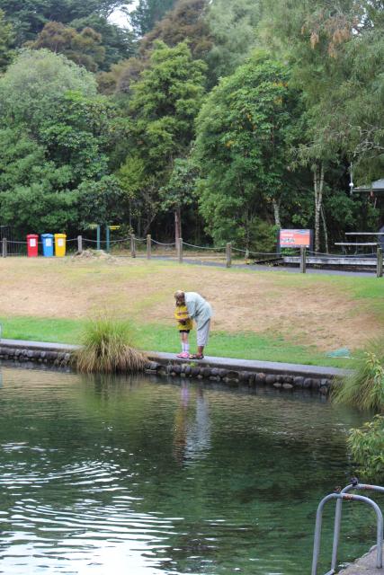 074 - Turangi - National Trout Centre