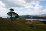 001 - Coromandel - Lookout near Manaia, SH25