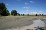 170 - Flooded picnic area near Rangitata River, SH72