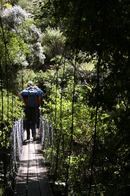 22 - Swing bridge, Queen Charlotte track