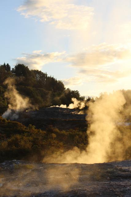 077 - Geyser Terrace, Te Puia