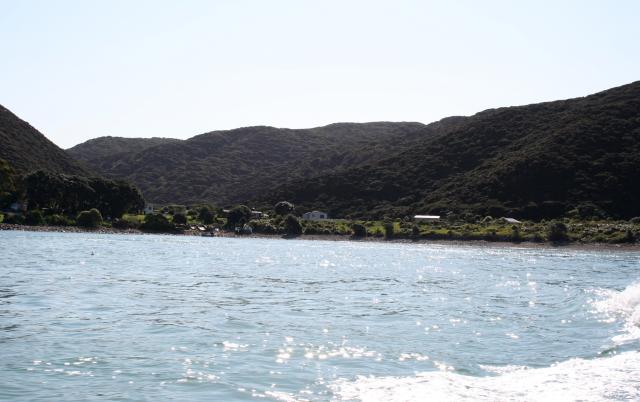 Kapiti Island - 43 - Leaving the northern tip