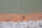 044 - Rotorua - Wai-o-tapu, champagne pool