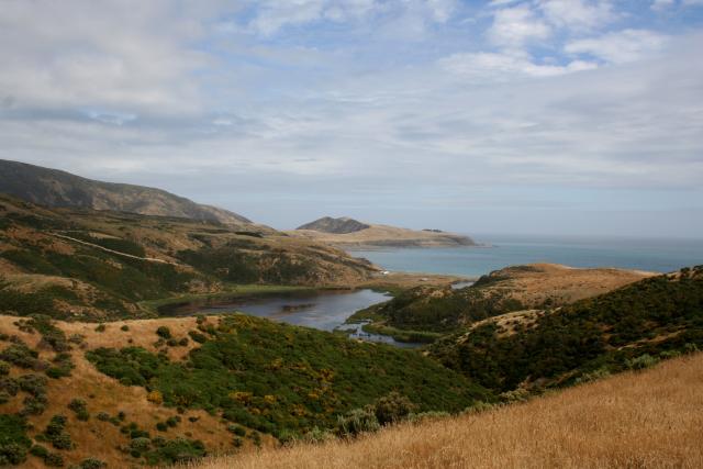 07 - Lake Kohangatera and Fitzroy Bay