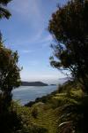 20 - Lookout, day 1, hilltop between Ship Cove and Resolution Bay