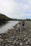 Hutt River Trail 14 - North of Silverstream Bridge