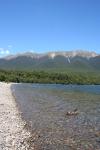 002 - Mallard duck, Lake Rotoiti