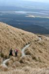 081 - Tongariro - Jean-Claude & Jeff amidst the tussock