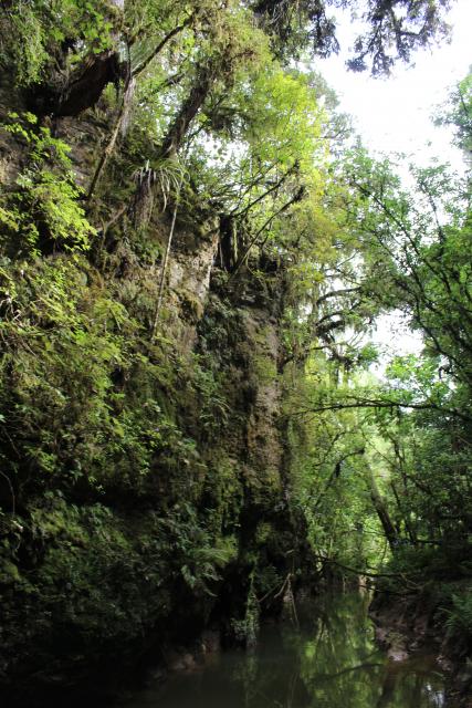 166 - Waitomo glowworm cave exit