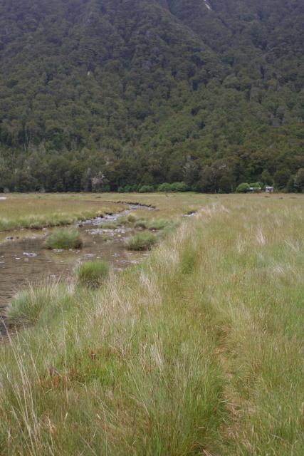 092 - Routeburn flats hut from North branch track