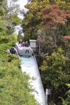 Rotorua 2019 - 10 - Rainbow Springs - Big Splash