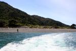 Kapiti Island - 14 - Le retour en bateau