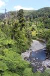 05 - Kaitoke Regional Park