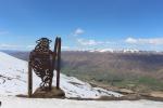 09 - Cardrona sheep