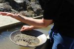 077 - Gold panning, Goldfields Mining Centre