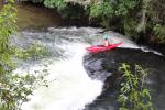 085 - Kaituna River, Okere Falls Scenic Reserve