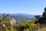 093 - Rotorua lakes from Maunga KÄkaramea summit