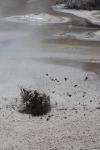 100 - Mud pool, Wai-o-tapu