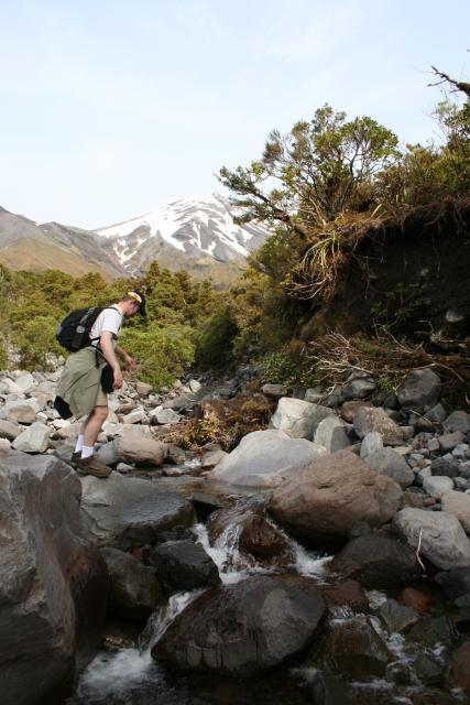 09 - Taranaki, Ridge Track