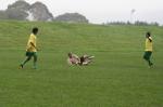 Marist Inter Vs Lower Hutt Sangham 09