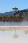 104 - Champagne pool, Wai-o-tapu