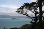 01 - Matiu Somes Island from Kereru Rd Track Lookout