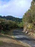 08 - Mount Ruapehu from Fishers Track