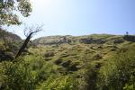 095 - Hawkes Bay - On Te Ana Falls track