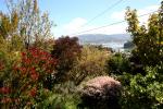 042 - Dunedin - Vue du jardin de JB