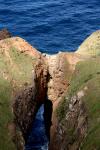 054 - Dunedin - Loversleap track, the chasm