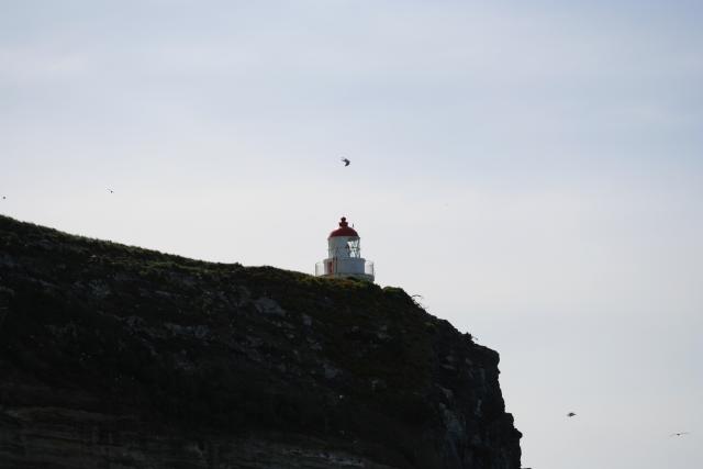 080 - Dunedin - Peninsula lighthouse