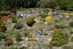 113 - Dunedin - Botanical garden