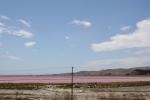 Xmas holidays 08-08 - 014 - Lake Grasmeere, salt marsh