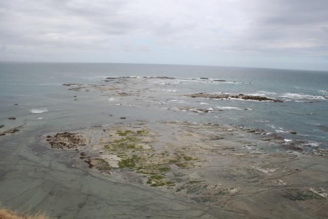 Xmas holidays 08-08 - 024 - Kaikoura Peninsula