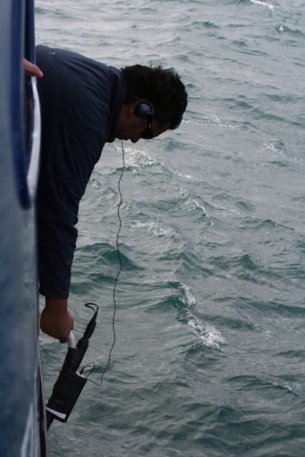 Xmas holidays 08-08 - 033 - Kaikoura - Listening to whales