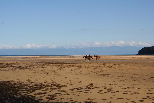 Xmas holidays 08-08 - 059 - Abel Tasman Park - Horse trekkers