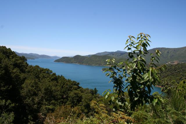 Xmas holidays 08-08 - 065 - Queen Charlotte Drive - View over Shakespeare Bay