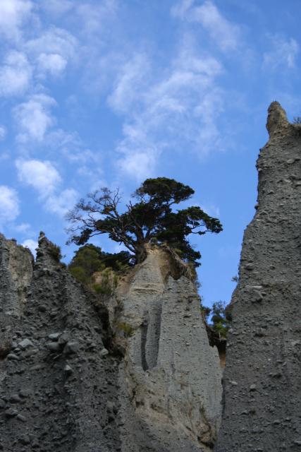 Xmas holidays 08-08 - 116 - Putangirua Pinnacles