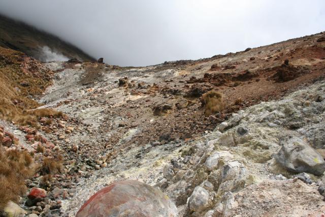 Xmas holidays 08-08 - 154 - Tongariro Crossing - Ketetahi hot springs