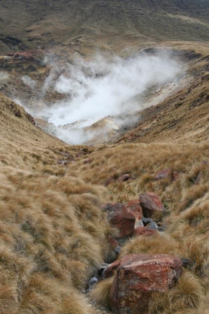 Xmas holidays 08-08 - 155 - Tongariro Crossing - Ketetahi hot springs