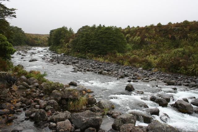 Xmas holidays 08-08 - 166 - Mahuia rapids