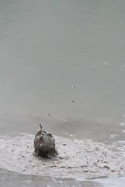 Xmas holidays 08-08 - 178 - Wai-o-tapu mud pools