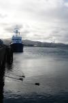 27 - NIWA boat in Wellington Marina