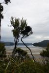 13 - Stewart Island - Sawdust Bay