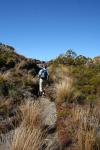 66 - Tongariro Traverse - Jeff in the tussocks