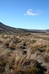 69 - Tongariro Traverse - At the next tussocks, turn left