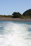 Kapiti Island - 42 - Leaving Rangatira